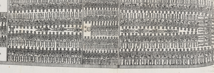 Poster of slave ship outlining how many bodies could be packed inside